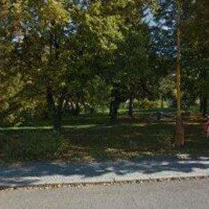 obrazek: avatar KRBY HEJNA.CZ