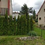 ŠVANDA MARTIN-EXAMITE