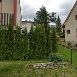 obrazek: avatar ŠVANDA MARTIN-EXAMITE