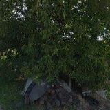 SEDLÁČEK ZDENĚK-ELEKTROCENTRUM