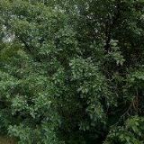 ELEKTRO KLUSÁČEK , s.r.o.