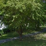 OSCOM TRADING s.r.o.