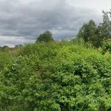 RODINNÉ VČELAŘSTVÍ RATAJOVI