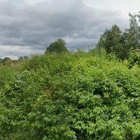 RODINNÉ VČELAŘSTVÍ RATAJOVI