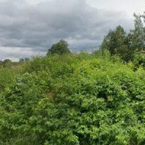 obrazek: avatar RODINNÉ VČELAŘSTVÍ RATAJOVI