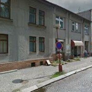 obrazek: avatar KUNEŠOVÁ HANA-KVĚTINY ASTRA