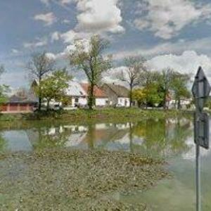 obrazek: avatar DISCUS LOVE