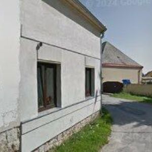 obrazek: avatar BAOBAB-VÁNOČNÍ STROMKY s.r.o.