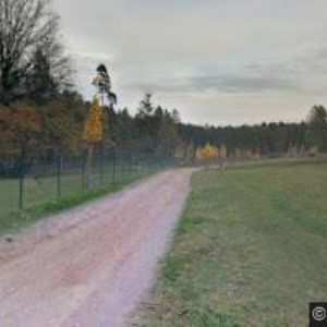 obrazek: avatar ZOOLOGICKÁ ZAHRADA TÁBOR , a.s.
