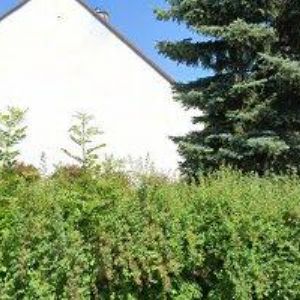 obrazek: avatar BARTOŠOVÁ JANA