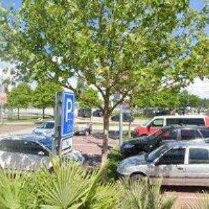 obrazek: avatar BAUHAUS k.s.