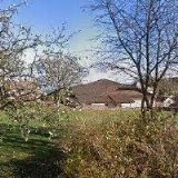 ROUČKA FRANTIŠEK MVDr.