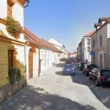 KVĚTINÁŘSTVÍ ŽLUTÝ TULIPÁN