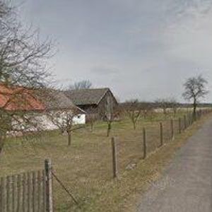 obrazek: avatar CHOVATELSKÁ STANICE-BOHEMIA EVERGREE