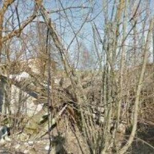 obrazek: avatar LESNÍ ŠKOLKA DOBEŠOV s.r.o.