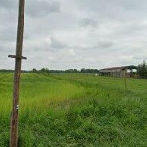 obrazek: avatar STATEK NAVAROVI