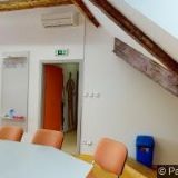 BURIANOVÁ SCHMIDTOVÁ EVA-KVĚTINY