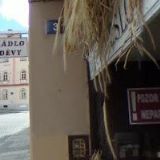 ŠÍP MILOSLAV-RŮŽOVÉ A OKRASNÉ ŠKOLKY