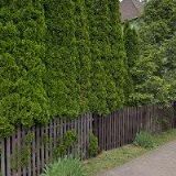 CHVÁLOVÁ EVA MVDr.