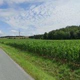 ZEMĚDĚLSKÉ DRUŽSTVO BUDKOV