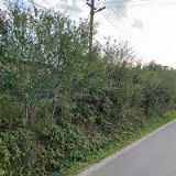 ZEMĚDĚLSKÉ DRUŽSTVO PODLESÍ