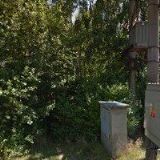 JANDOVÁ IVANA-SUKULENTY