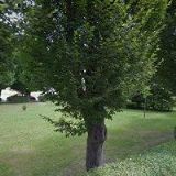 PŘIBYL MIROSLAV-PRODEJ A SERVIS ZAHRADNÍ TECHNIKY