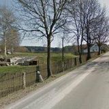 PRODEJ RYB-KAREL A SYN