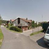 HOLCMANOVÁ PAVLA-ZAHRADNICTVÍ