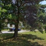 HAVLÍČEK JIŘÍ Ing.