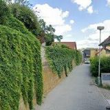 SOUCHOVÁ PETRA MVDr.