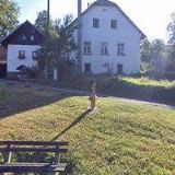 1. KOČIČÍ ÚTULEK NA VYSOČINĚ