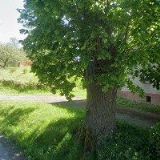 HUSÁK , spol. s r.o.