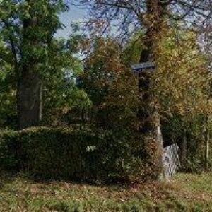 obrazek: avatar KENIL-PRODUKTY PRO PSY A KOČKY