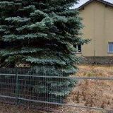 LESNÍ SPOLEČNOST PRYLOVI