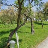 NETÍKOVÁ DANIELA-SEDLÁŘSTVÍ