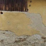 KOSTELECKÝ PETR DiS.