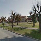 SPRÁVA OBECNÍCH LESŮ NOVÁ CEREKEV , spol. s r.o.