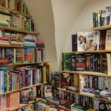 PAPÍRNICTVÍ RECYKLING