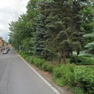 obrazek: avatar KURALOVÁ RADKA