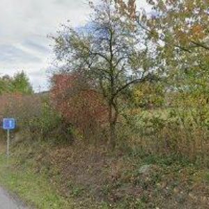 obrazek: avatar GALERIE SLUNEČNÍ KÁMEN