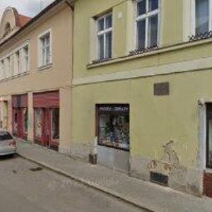 obrazek: avatar FILIPOVÁ JITKA