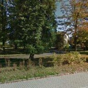 obrazek: avatar MAREŠ MILOŠ