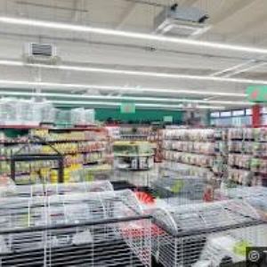 obrazek: avatar HUMANIC