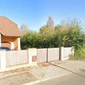 obrazek: avatar BOROVKOVÁ JANA