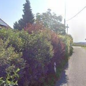 obrazek: avatar TIGON PROFI s.r.o.