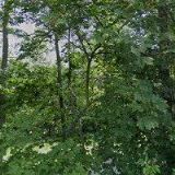 SVOBODA KAREL-RC TEAM