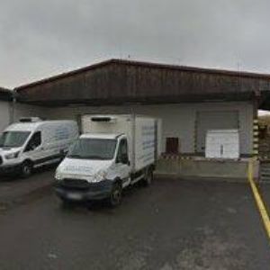 obrazek: avatar DUBOVÁ RENÁTA