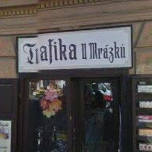 obrazek: avatar SEDMIKVÍTEK