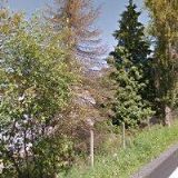 VIMPERSKÁ MASNA , a.s.